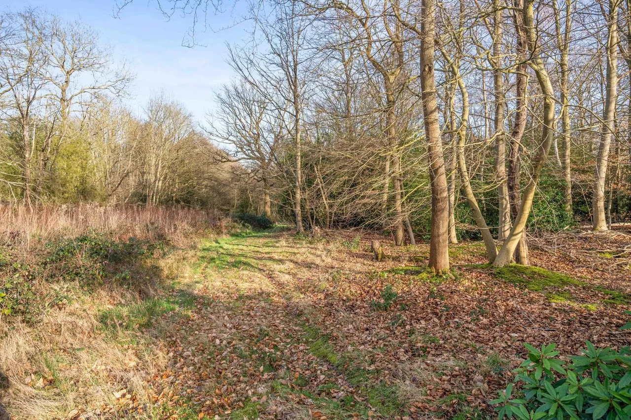Little Warley, Brentwood, CM13, photo 35