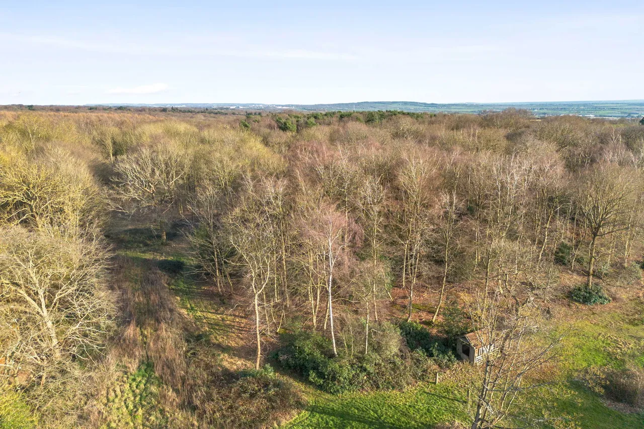Little Warley, Brentwood, CM13, photo 32