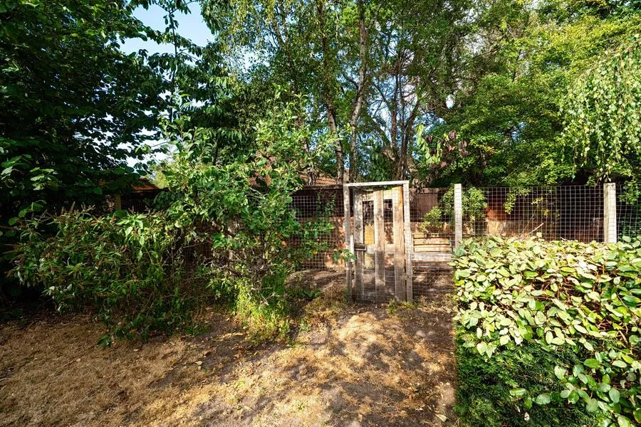 Delta Road, Chobham, GU24, photo 17