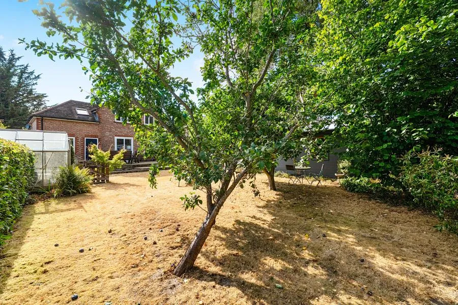 Delta Road, Chobham, GU24, photo 19