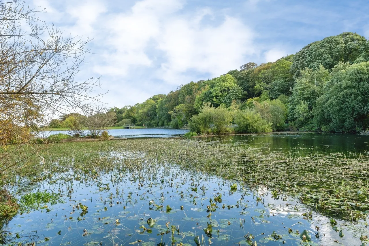 Greenfield Road, Holywell, CH8, photo 12