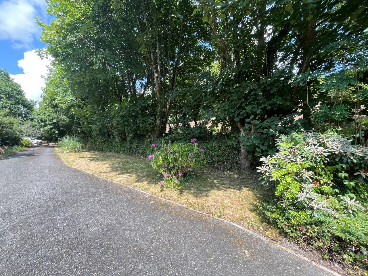 Browns Hill, Penryn, photo 18