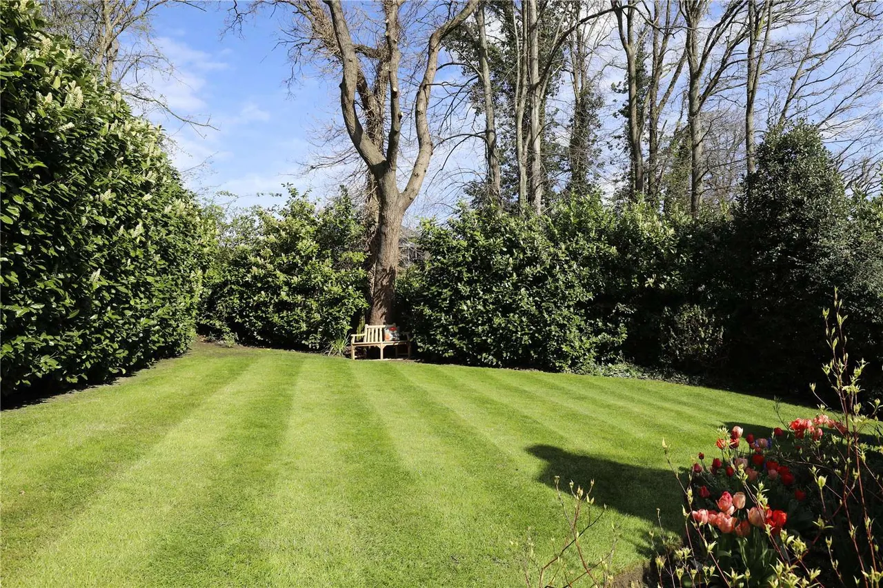 Bathgate Road, Wimbledon, London, SW19 5PW, photo 5