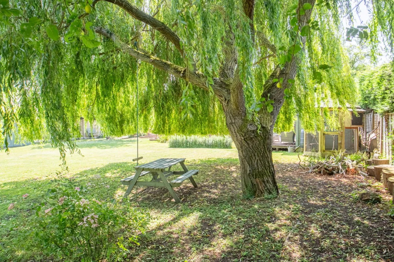 Dargate Road, Yorkletts, CT5, photo 25