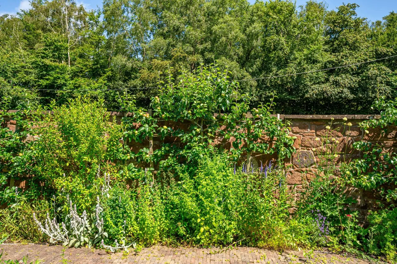 Kennels, Stapleton, DG12, photo 55