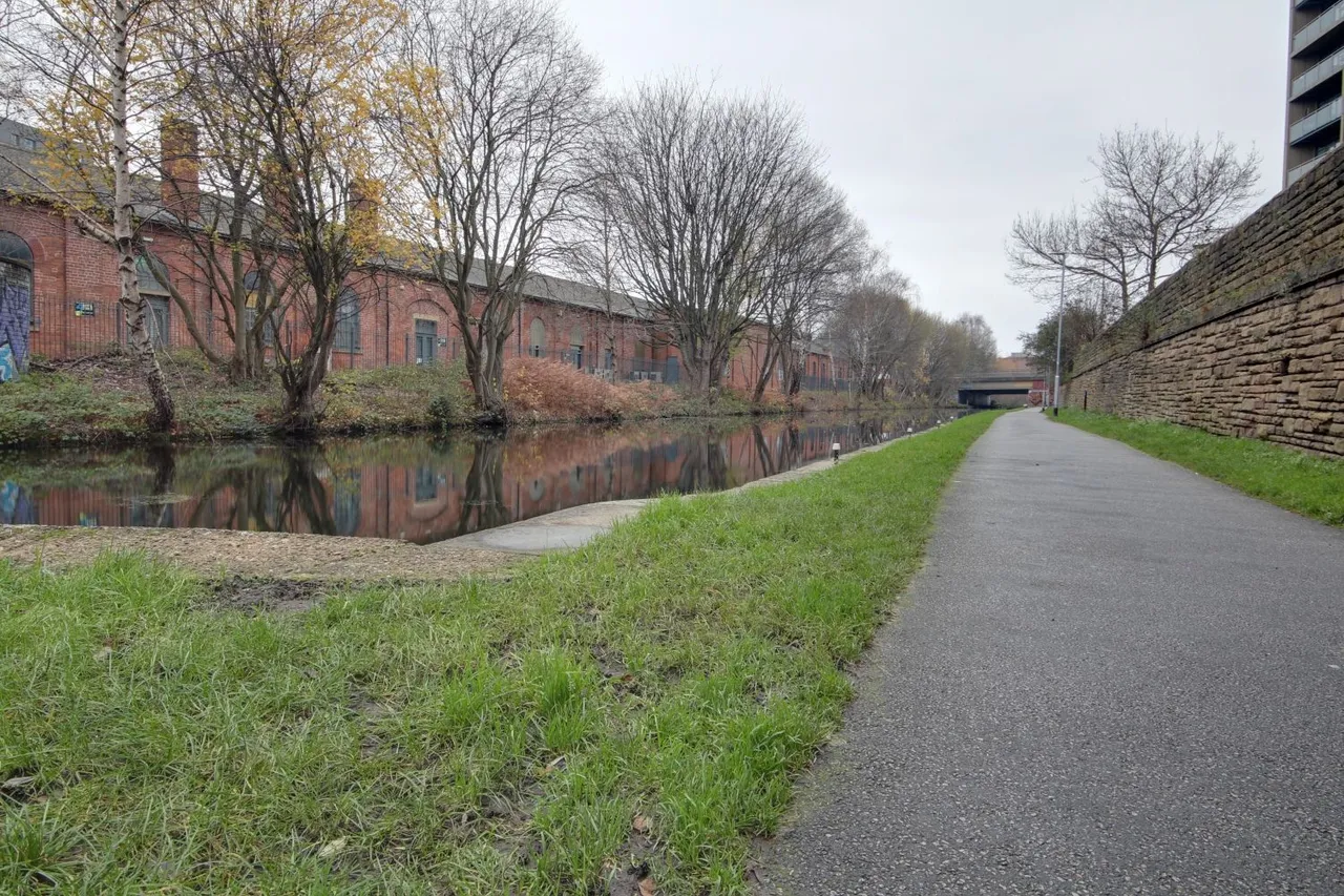 Gotts Road, Leeds, LS12, photo 9