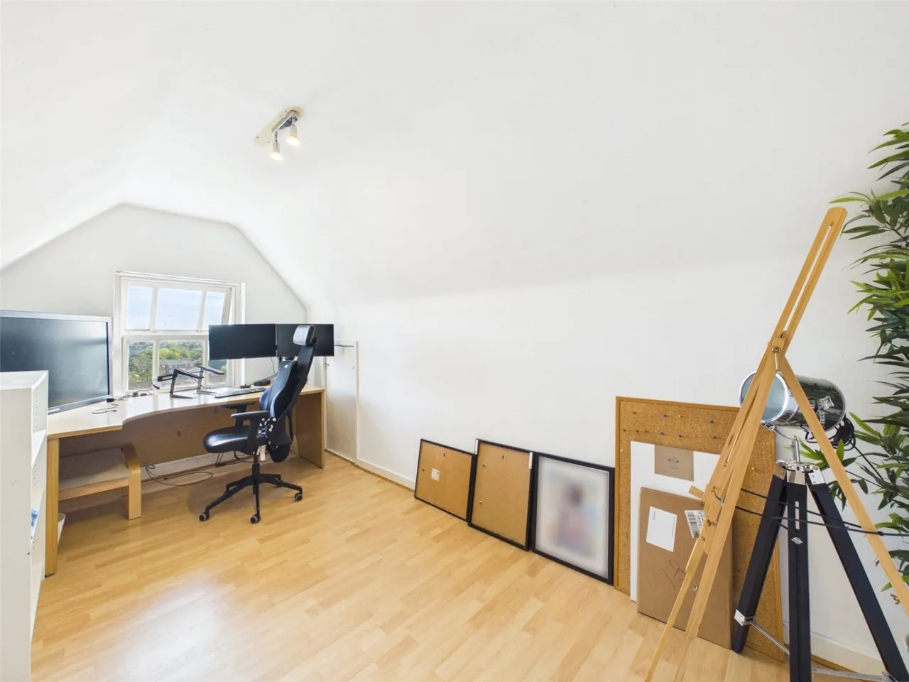 Elm Avenue, Nottingham, NG3, photo 18
