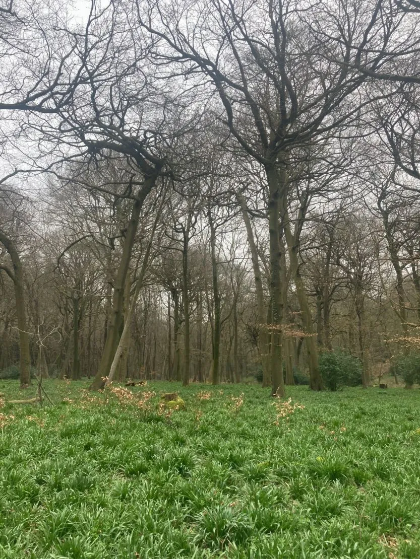 Checkendon, Reading, RG8, photo 4