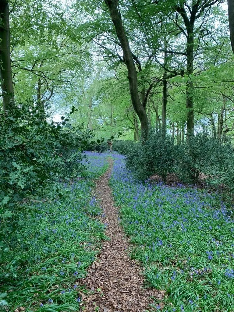 Checkendon, Reading, RG8, photo 3