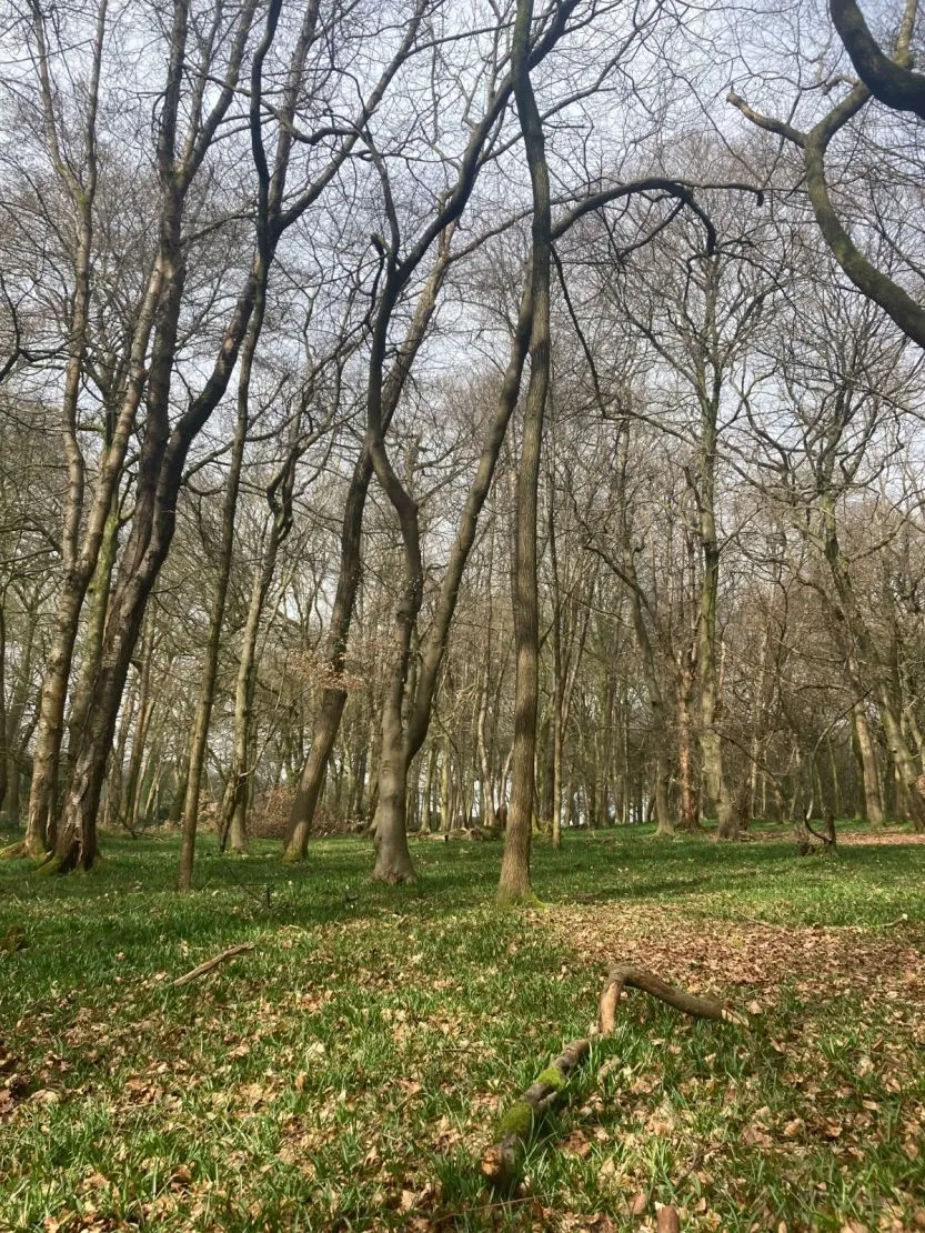 Checkendon, Reading, RG8, photo 2