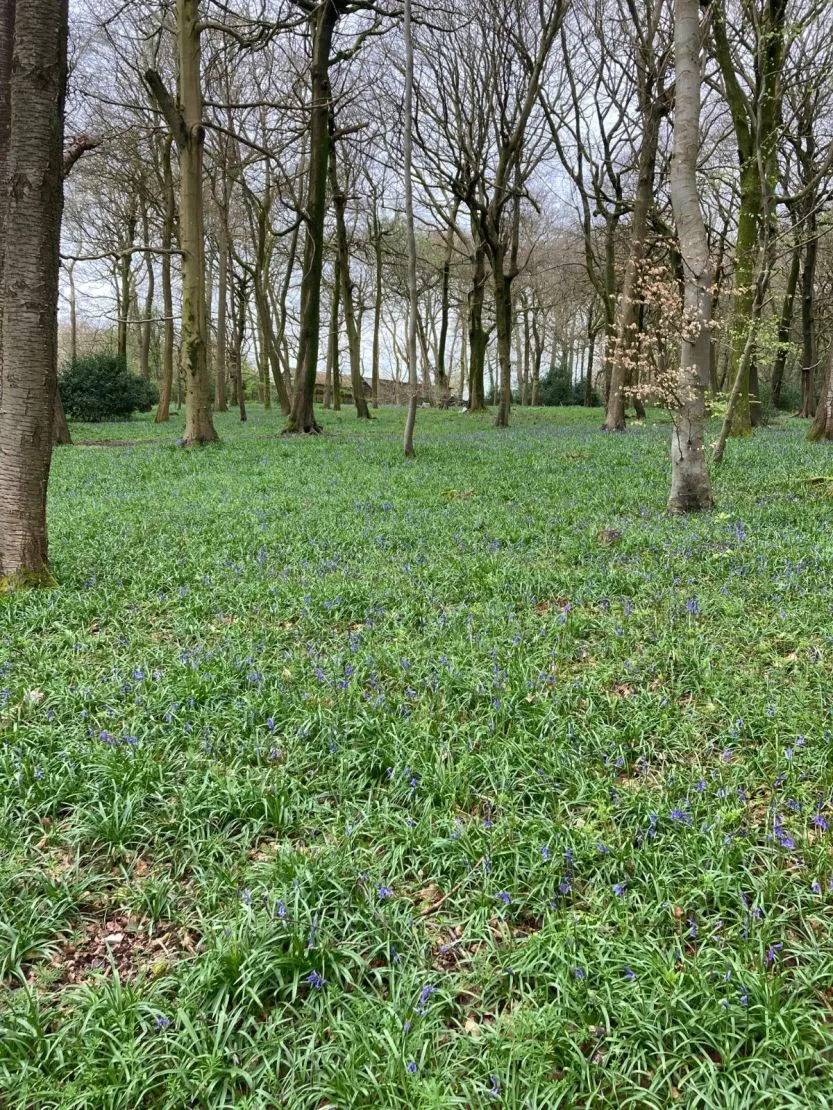 Checkendon, Reading, RG8, photo 5