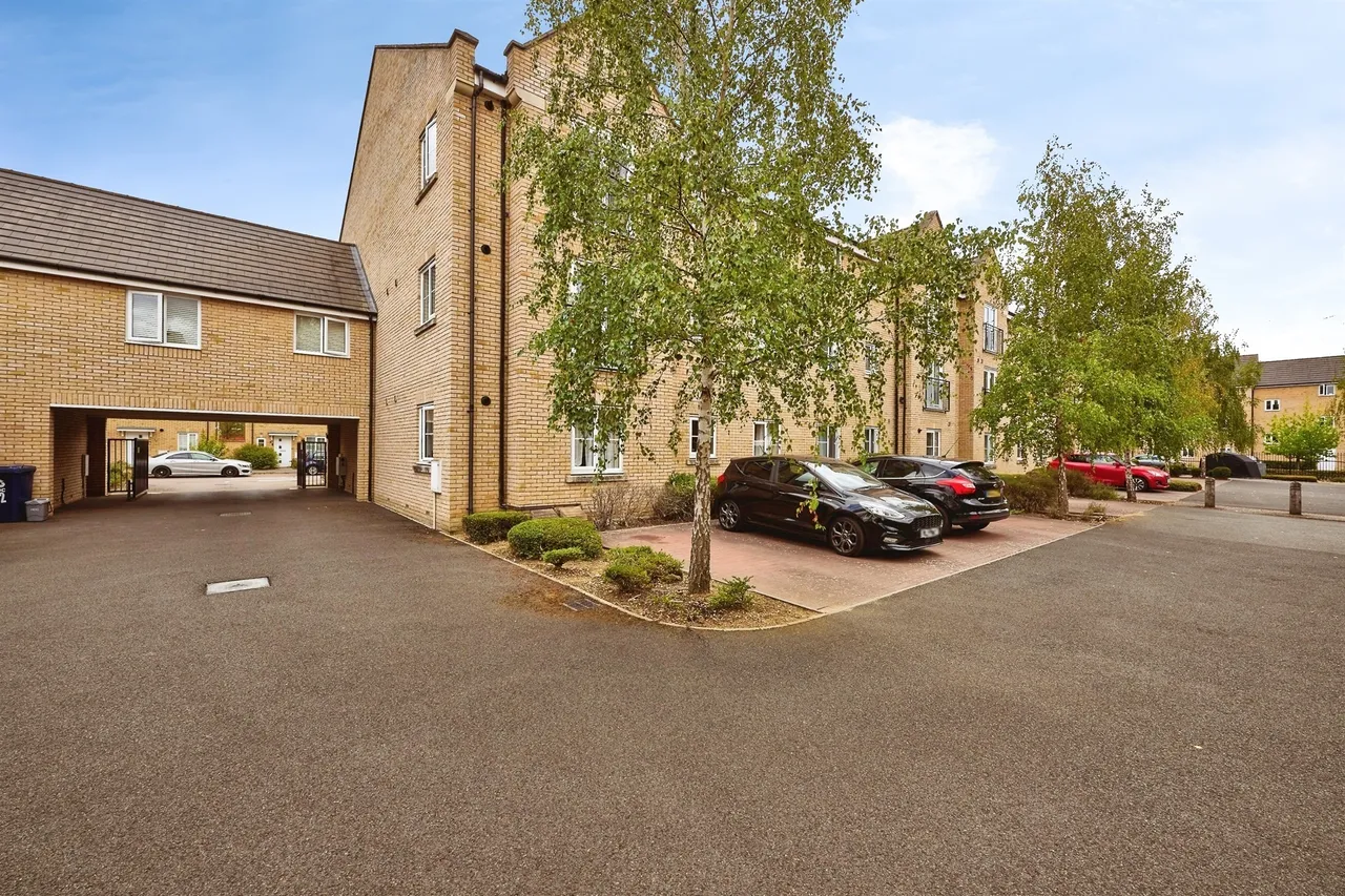 Buttercup Avenue, St. Neots, PE19, photo 11