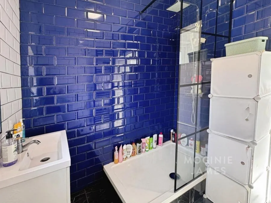 Treharris Street, Roath, CF24, photo 10