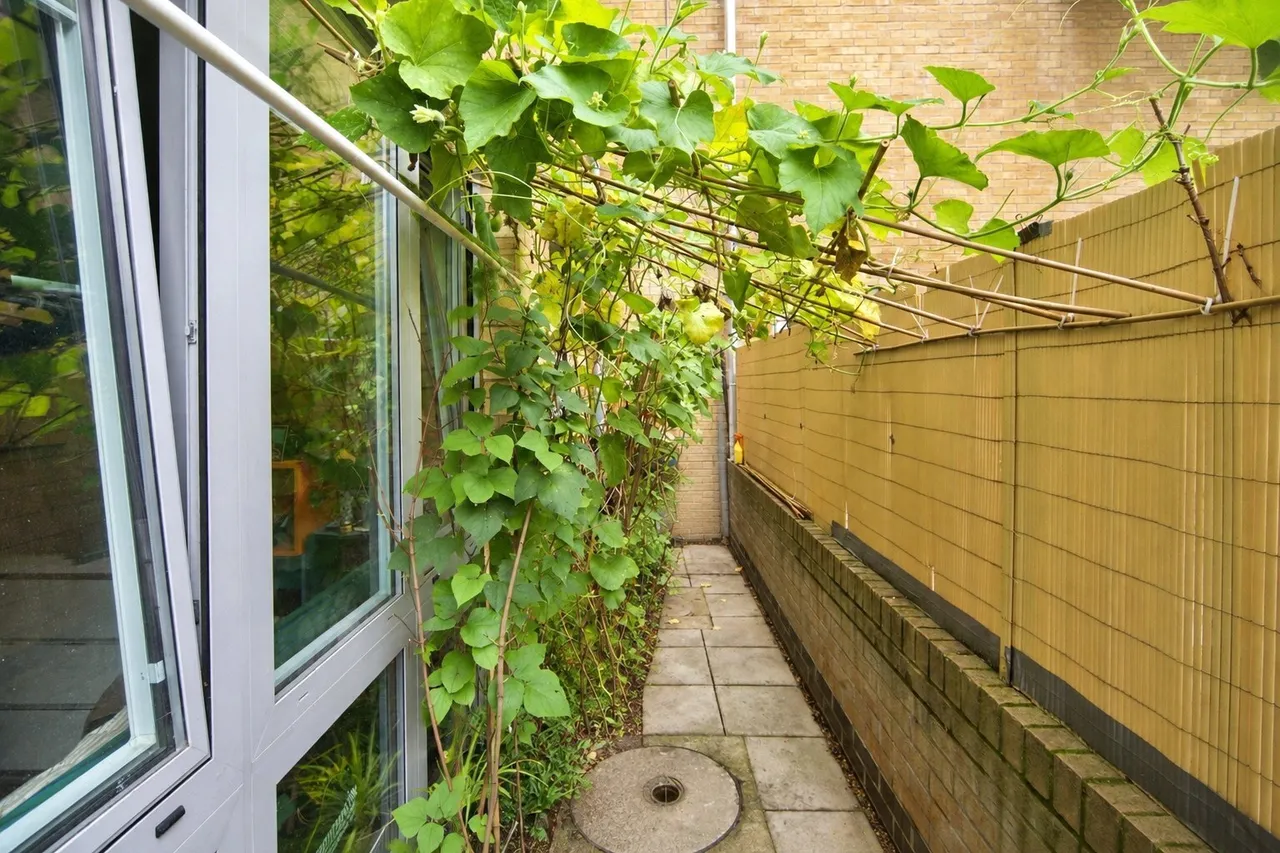 Woodgrange Road, Forest Gate, London, E7, photo 10