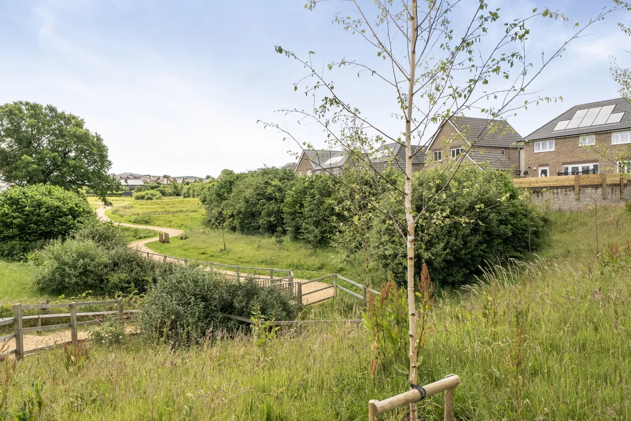 Centurian Walk, Okehampton, EX20, photo 18