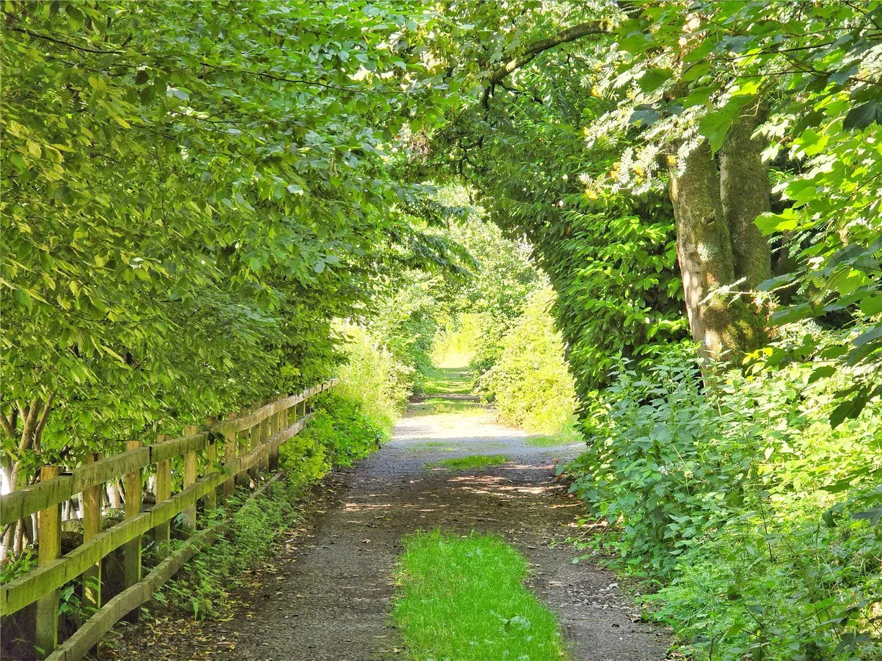 Haslingden Road, Rawtenstall, BB4, photo 30