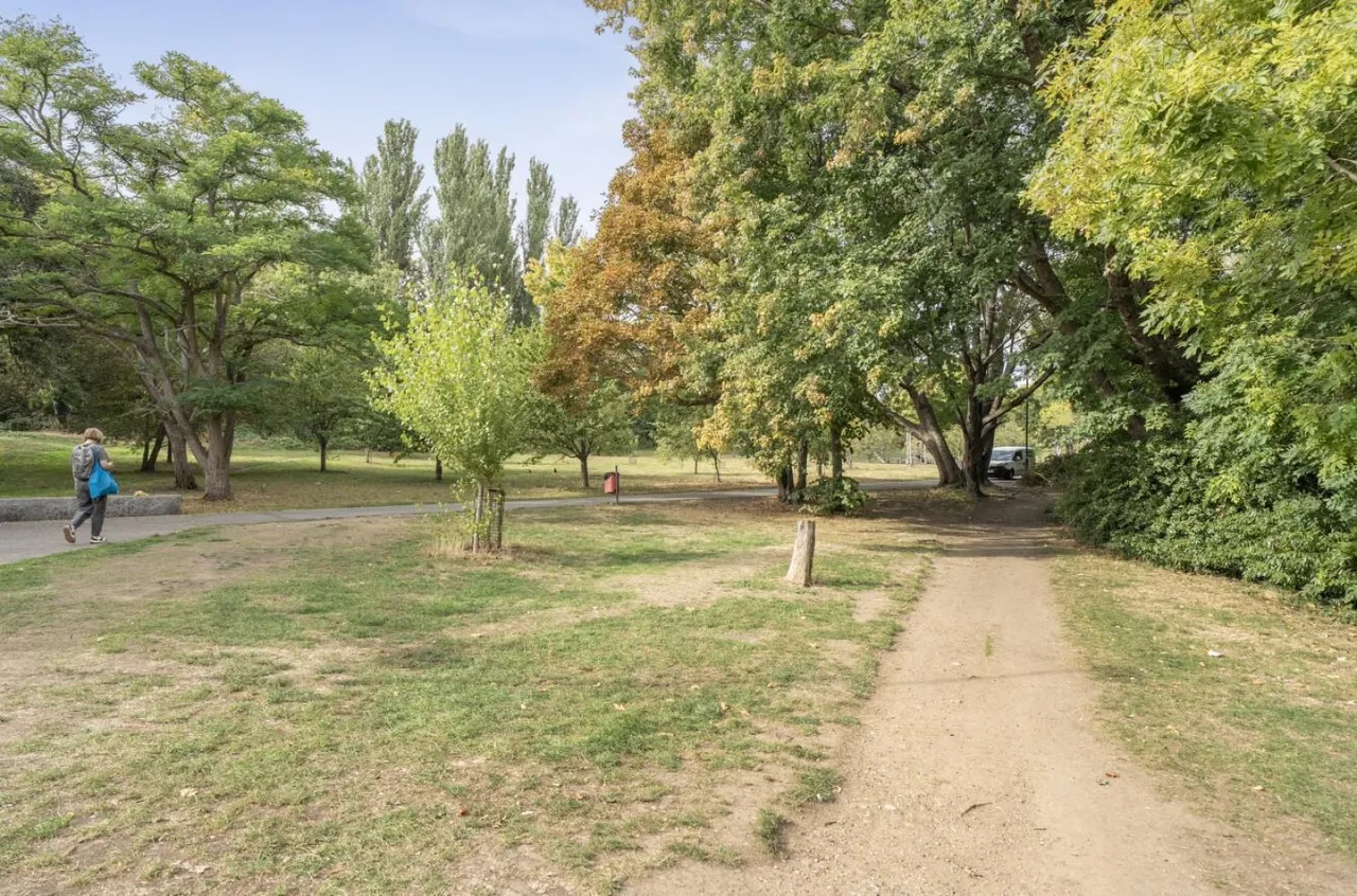 Adenmore Road, London, SE6, photo 12