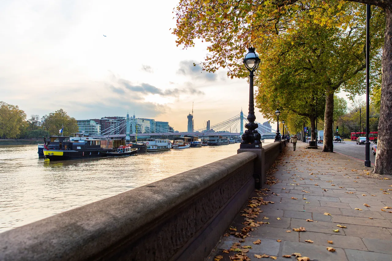 5 Star House, 14 Chelsea Embankment, London, photo 2