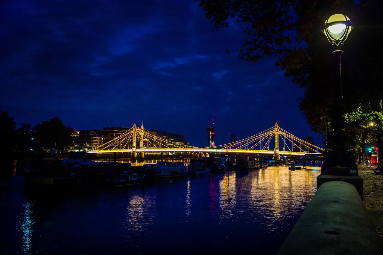 5 Star House, 14 Chelsea Embankment, London, photo 10