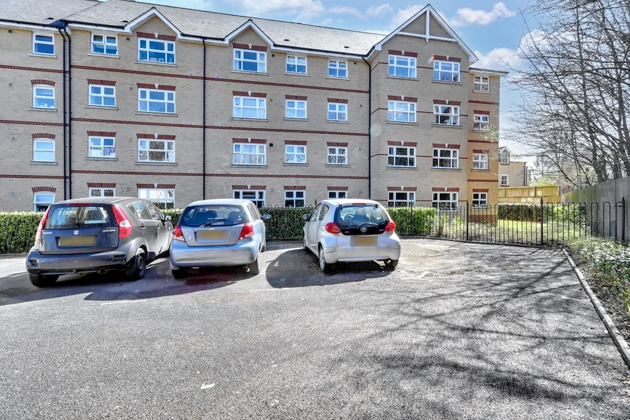 Cromwell Road, Cambridge, CB1, photo 7