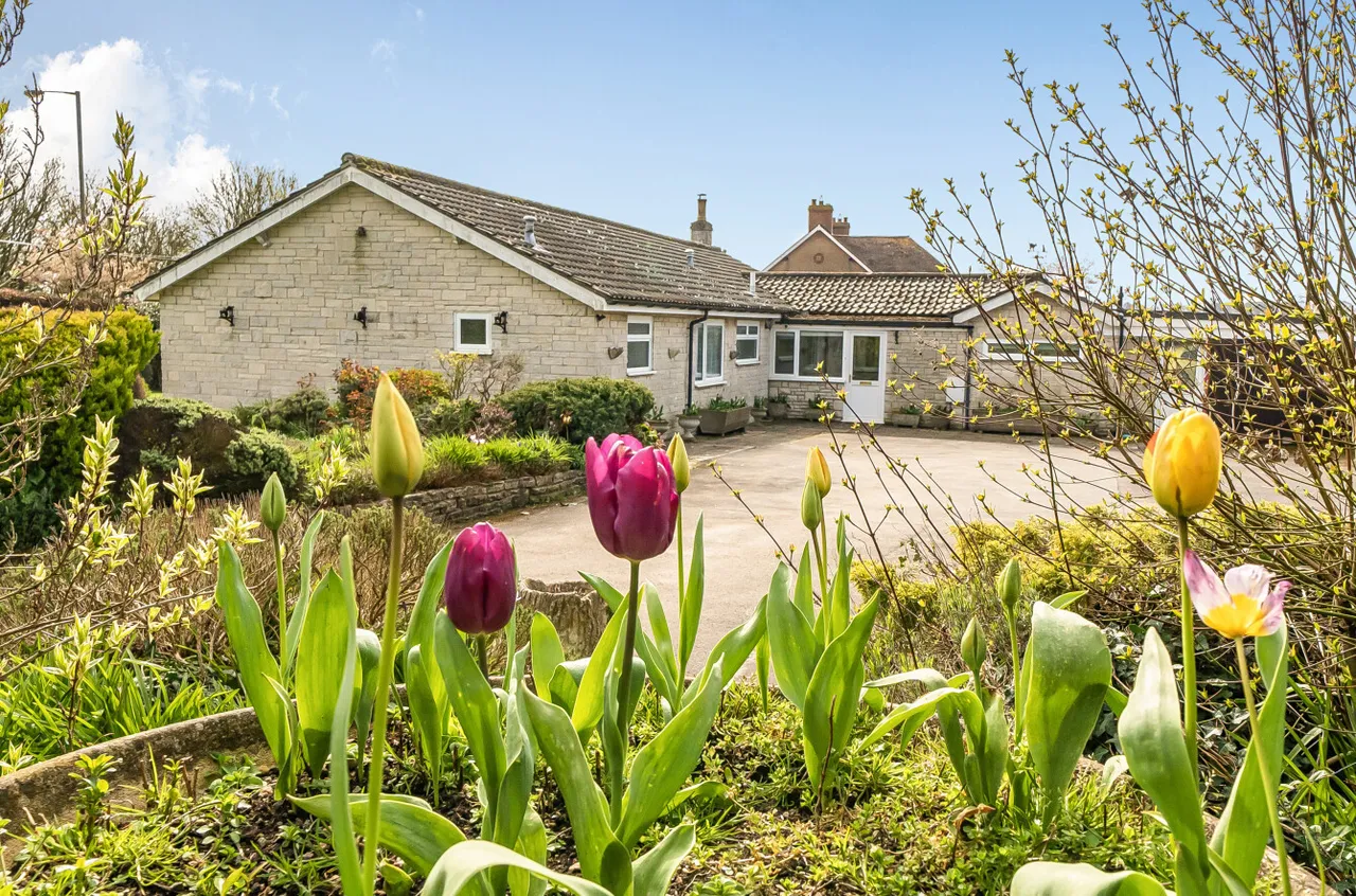 Love Lane, Bayford, Wincanton, Somerset, BA9 9NW, photo 11