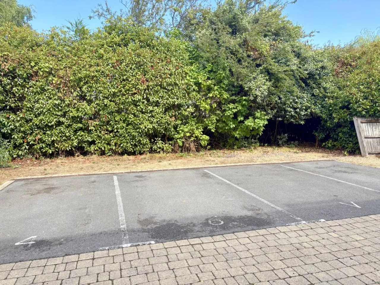 Legacy, BH14, photo 22