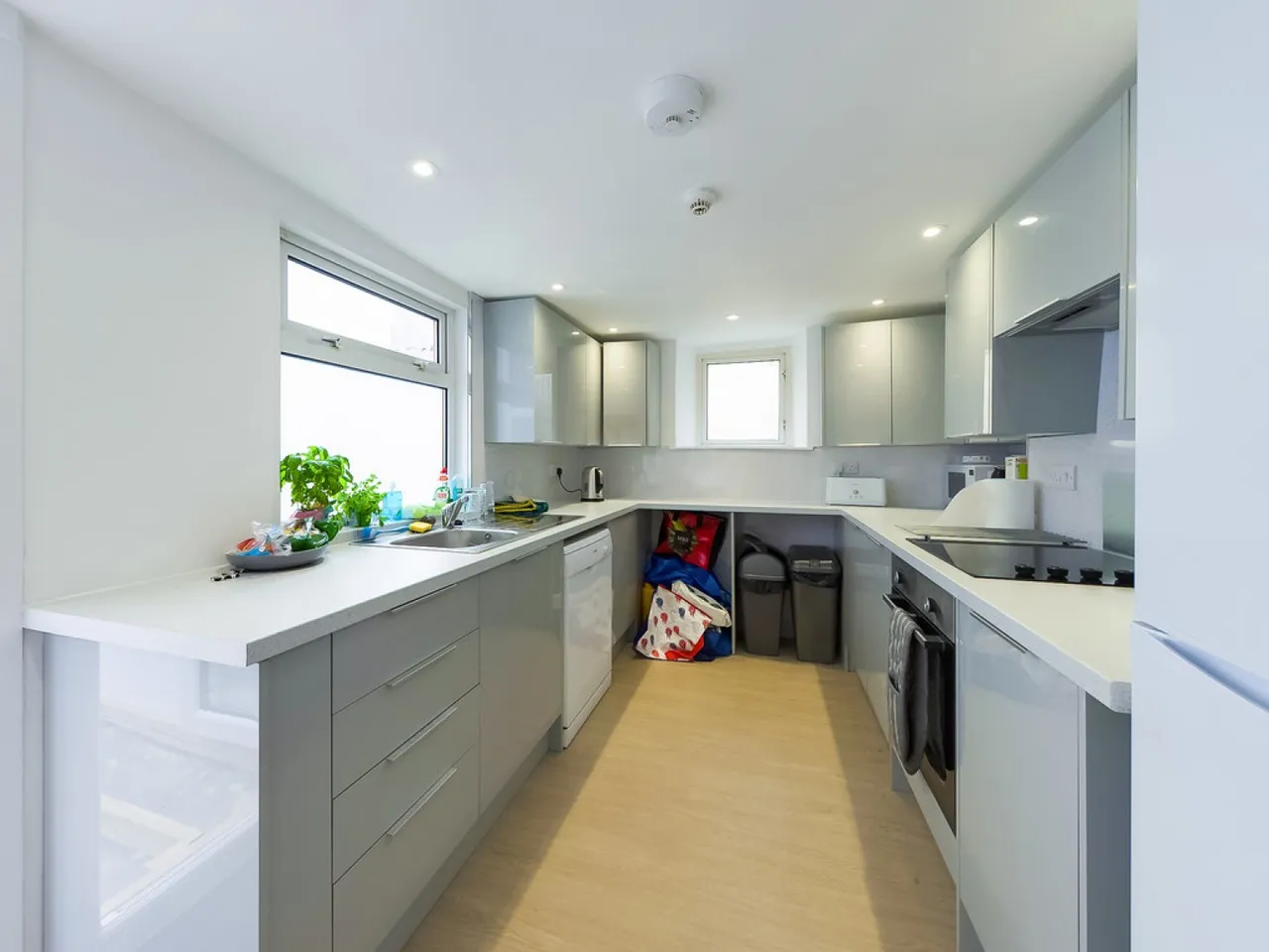 Nelson Street, Greenbank, photo 3