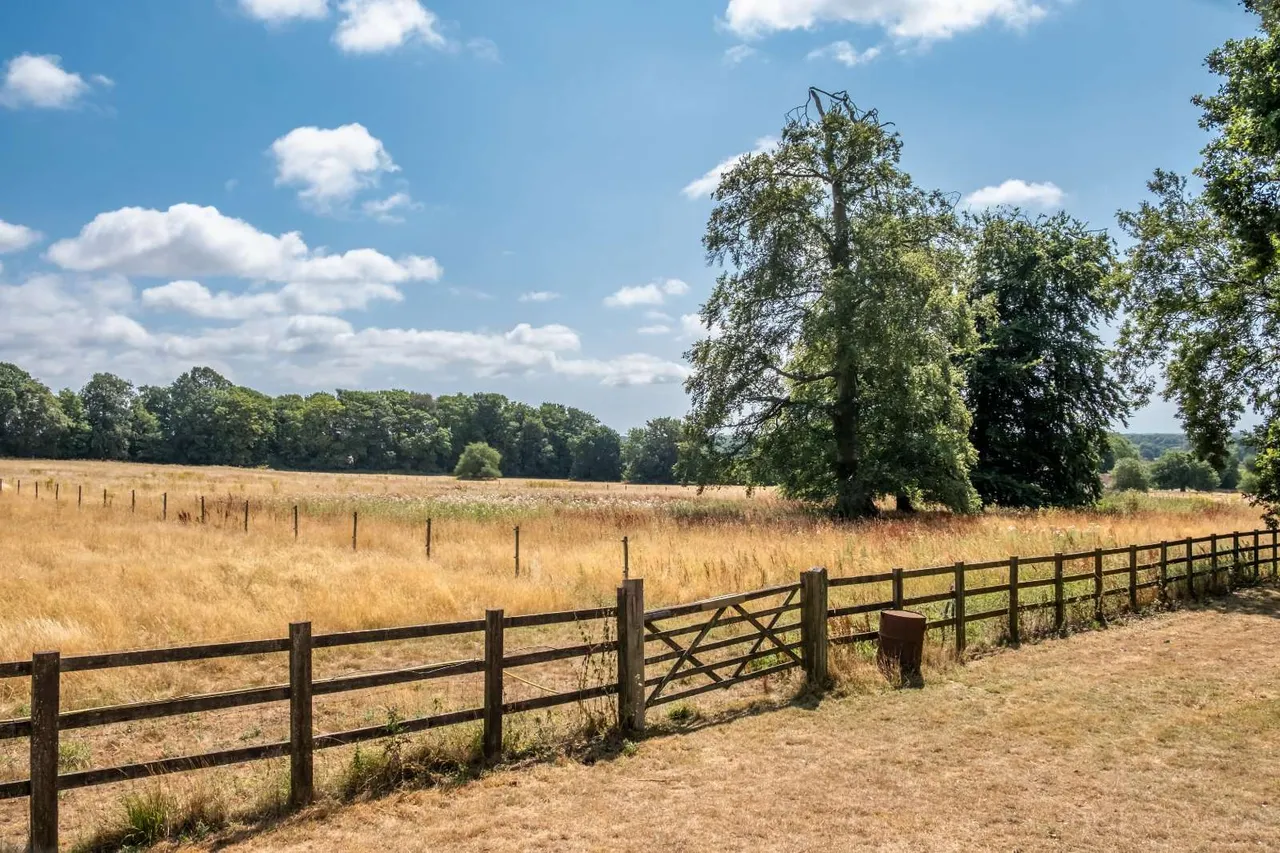 Downs Road, West Stoke, PO18, photo 26