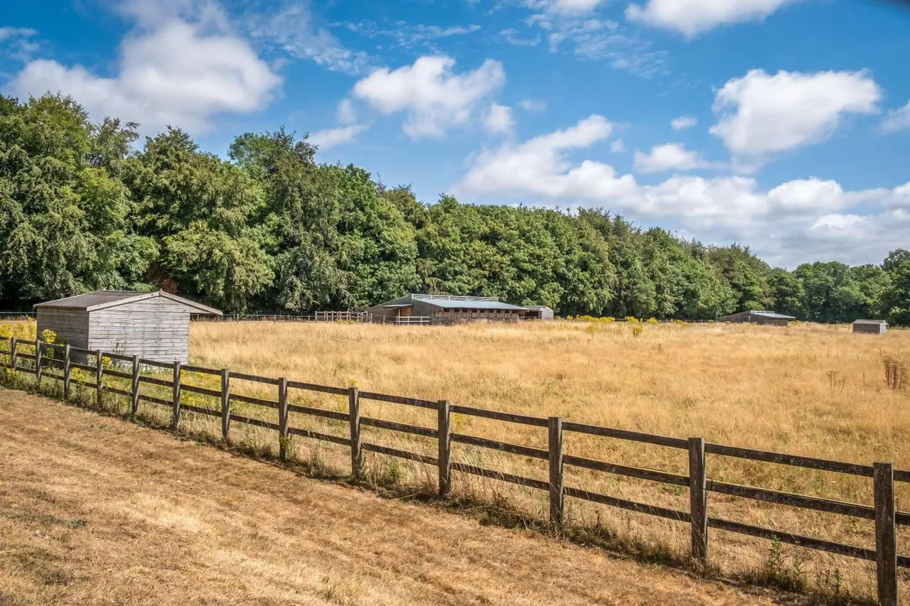 Downs Road, West Stoke, PO18, photo 25