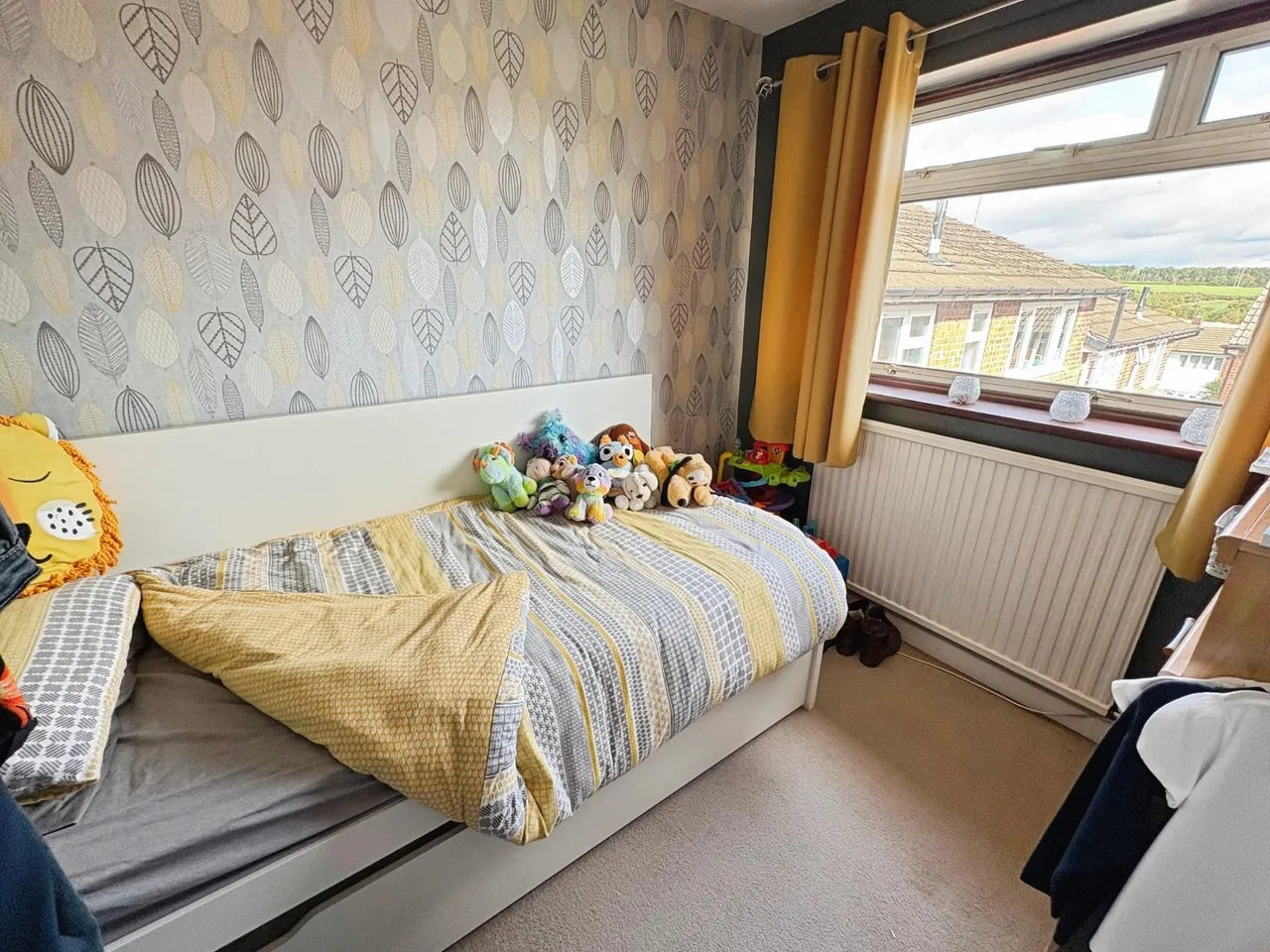 Charles Street, Rawmarsh, S62, photo 19