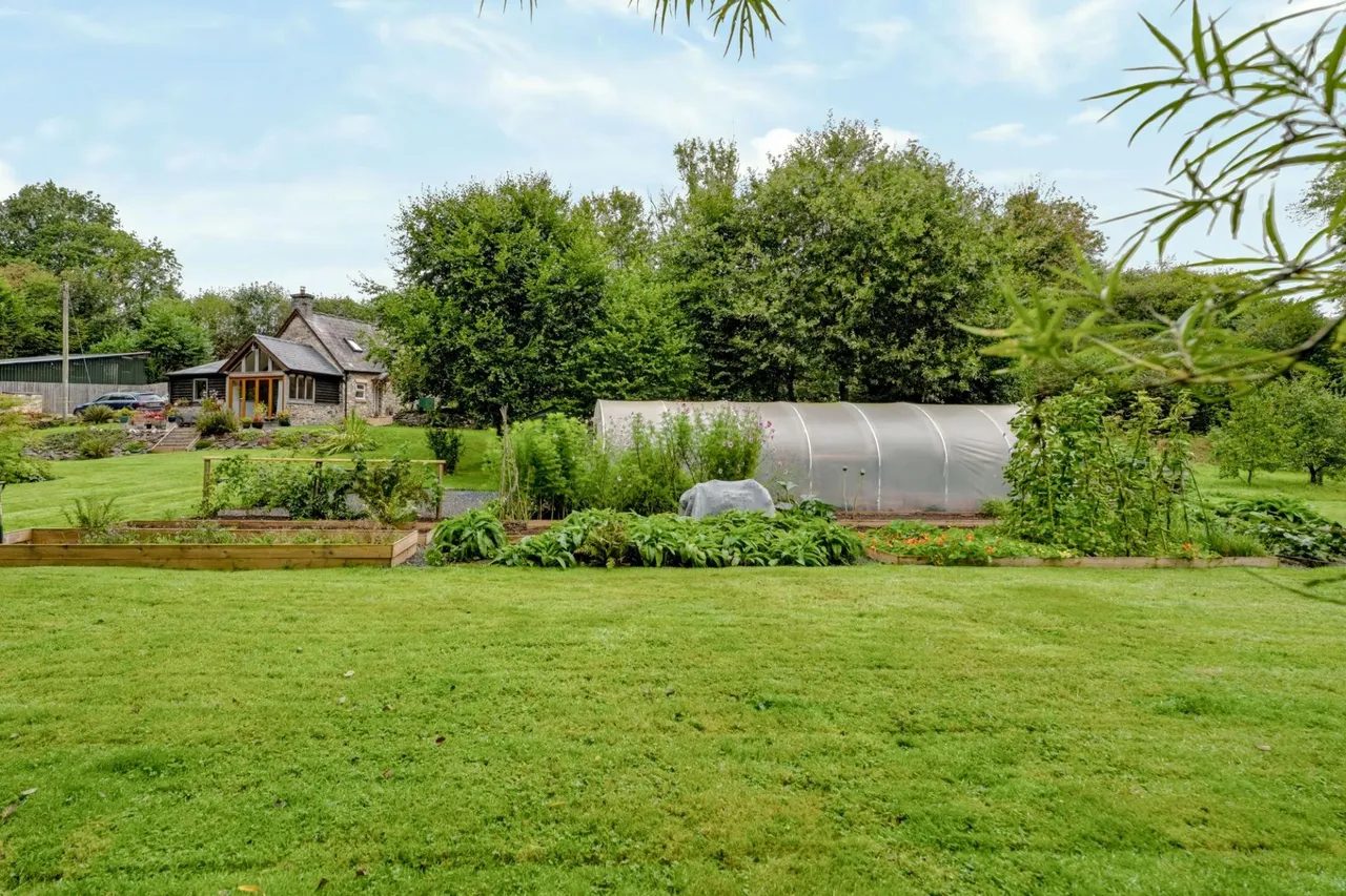 Yr'aber, Cwrtnewydd, SA40, photo 77