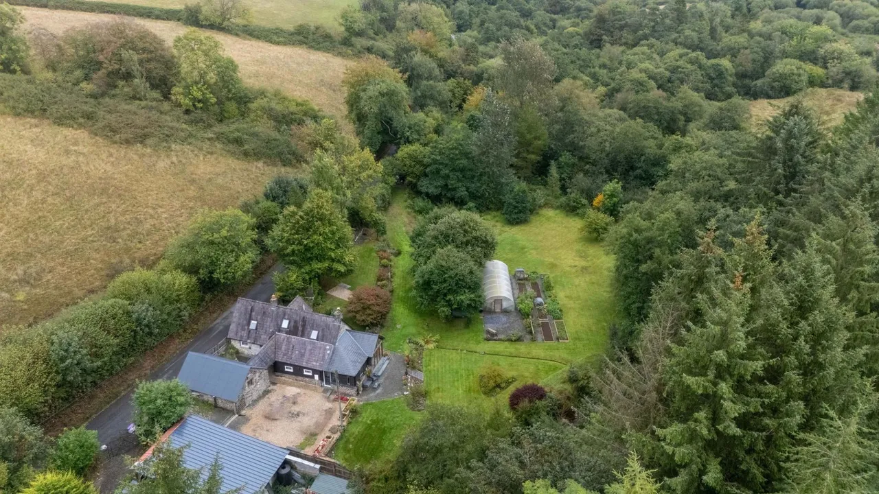 Yr'aber, Cwrtnewydd, SA40, photo 6