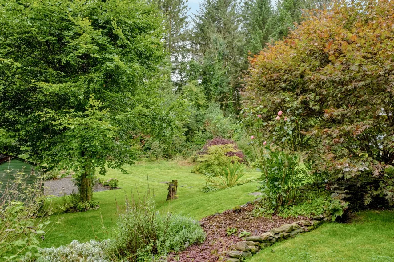 Yr'aber, Cwrtnewydd, SA40, photo 50