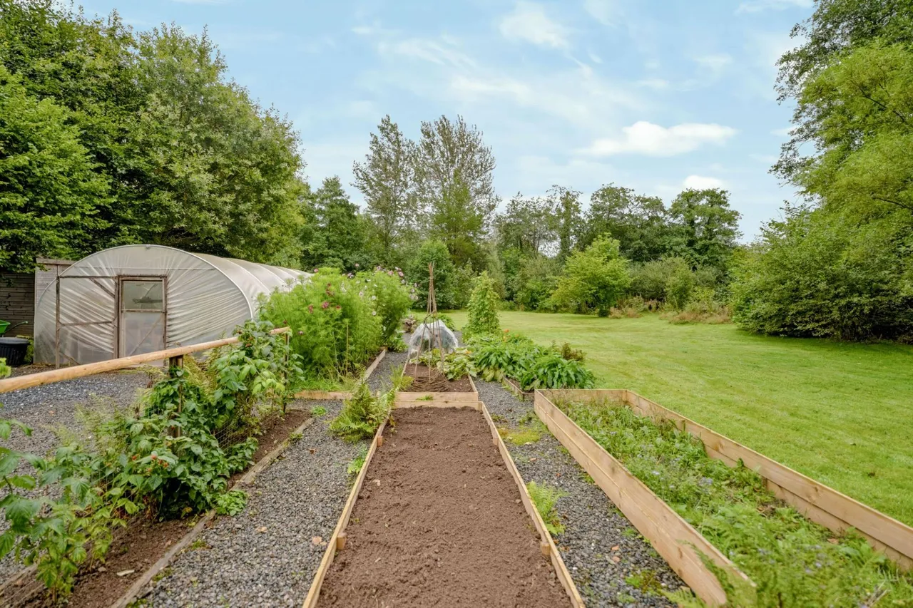 Yr'aber, Cwrtnewydd, SA40, photo 52