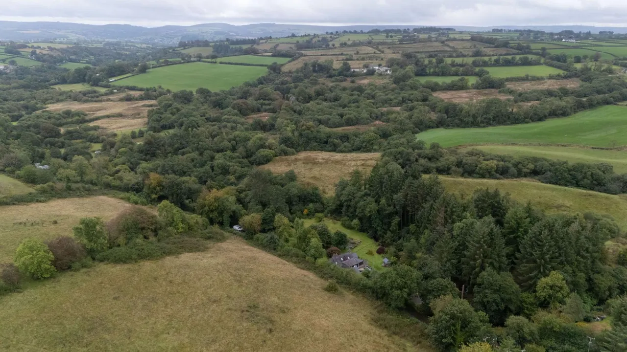 Yr'aber, Cwrtnewydd, SA40, photo 83