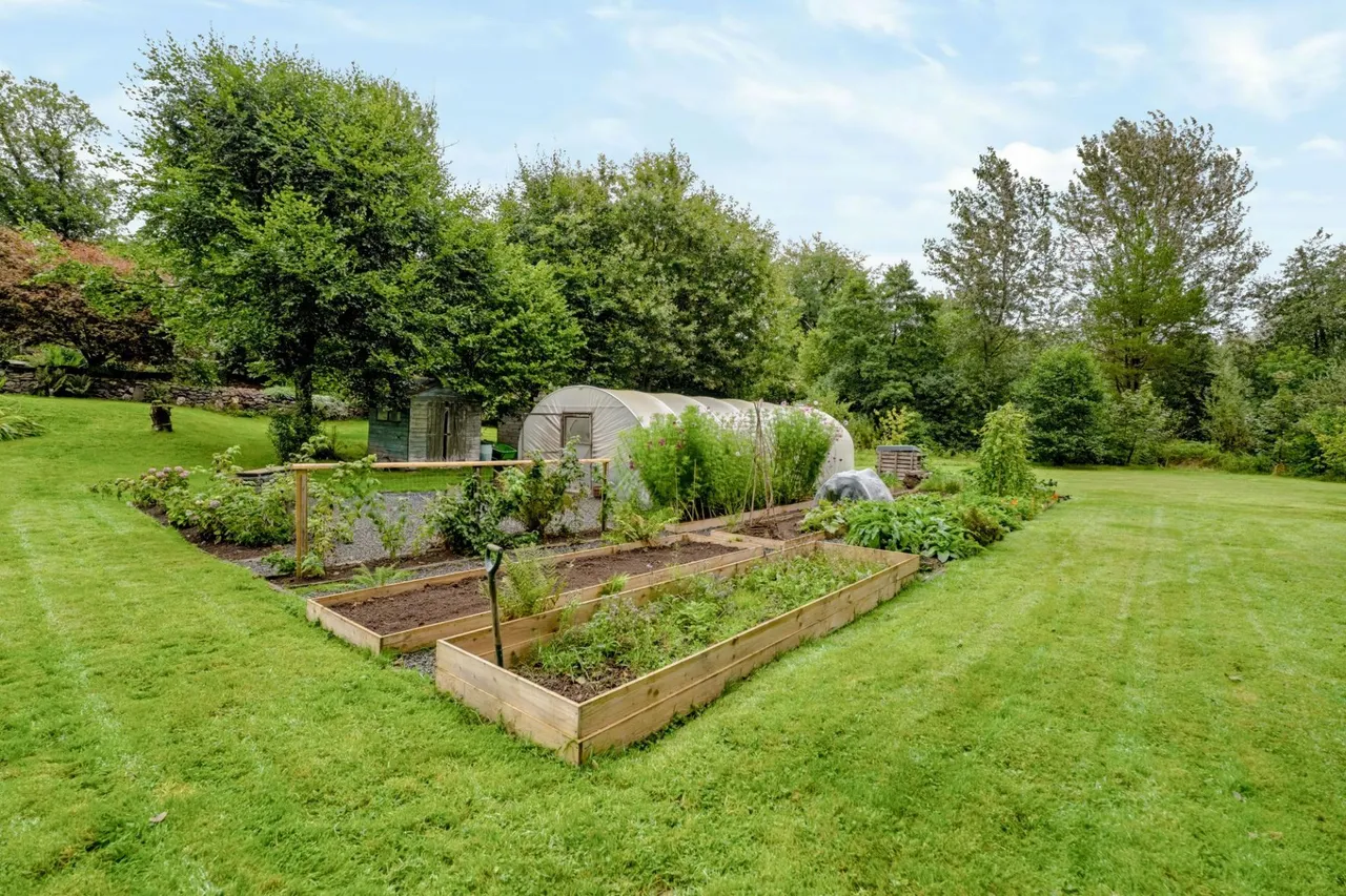 Yr'aber, Cwrtnewydd, SA40, photo 53