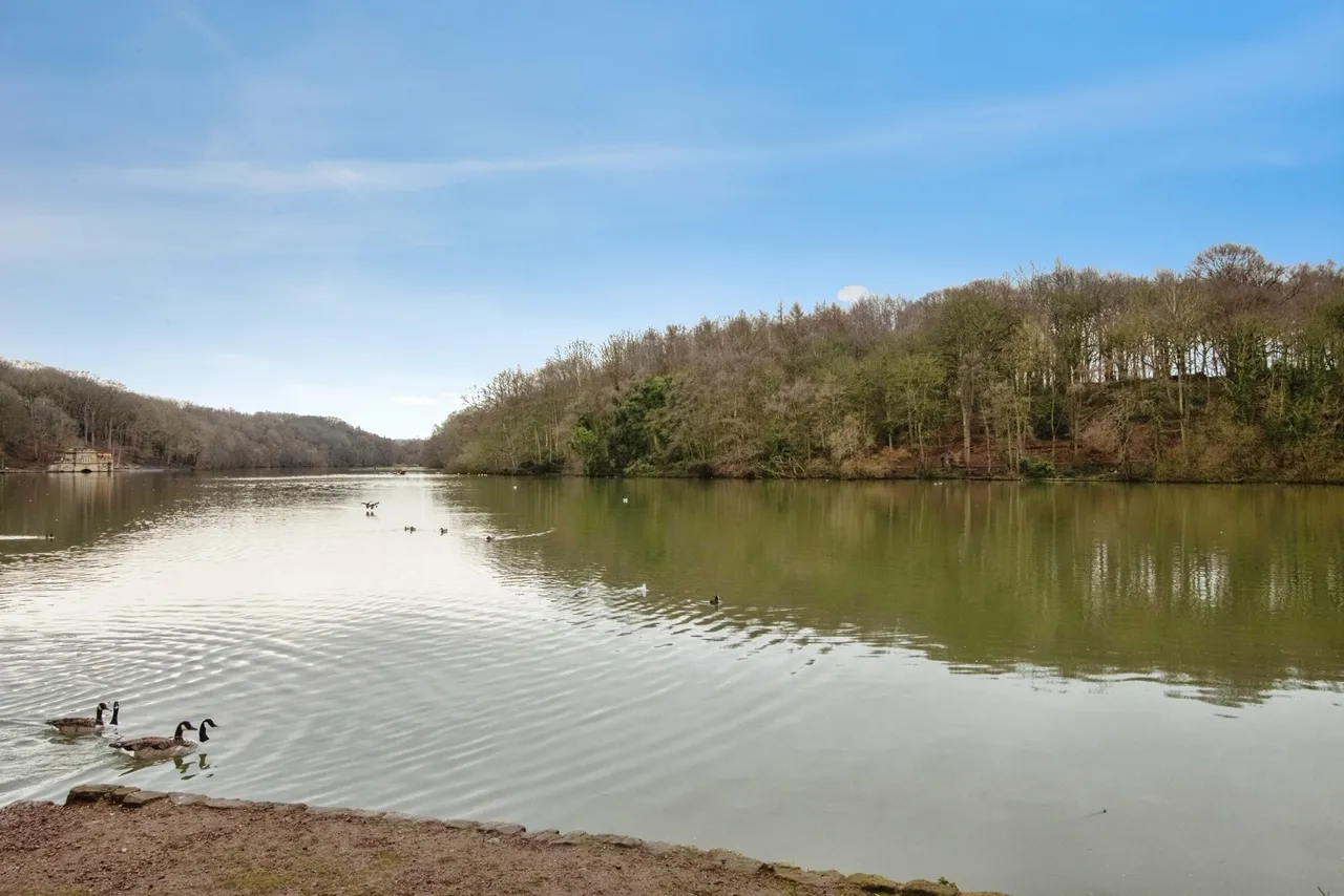 Hill Road, Newmillerdam, Wakefield, West Yorkshire, WF2, photo 18