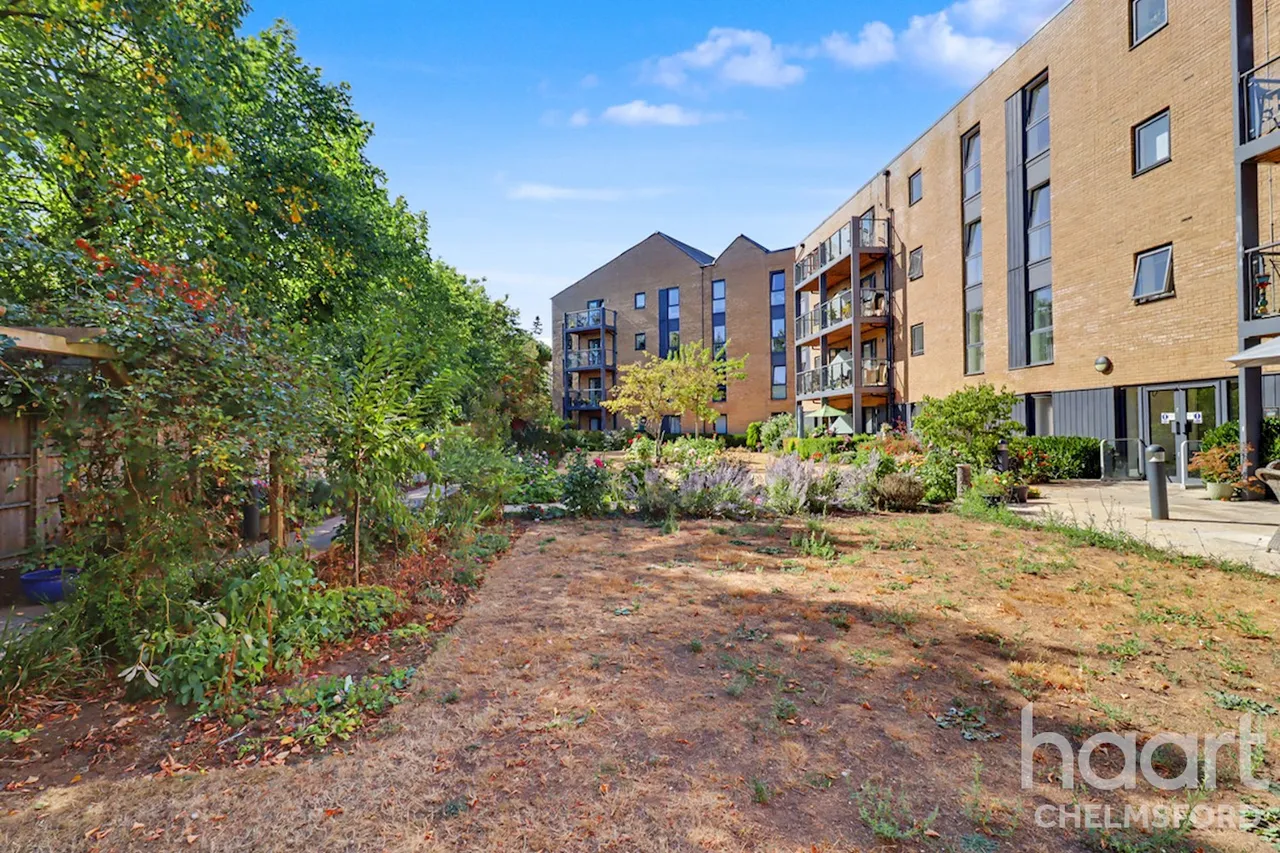 Princes Road, Chelmsford, CM2, photo 12