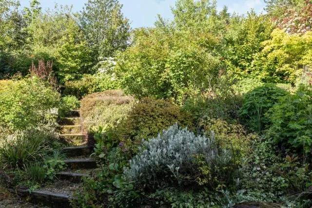 The Bower Cottage, The Thorn, HR2, photo 22