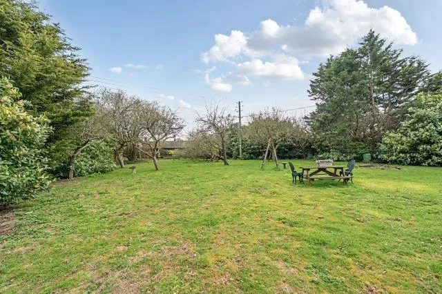 Old Chertsey Road, Chobham, GU24, photo 28