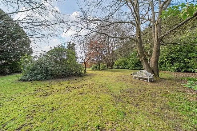 Old Chertsey Road, Chobham, GU24, photo 27