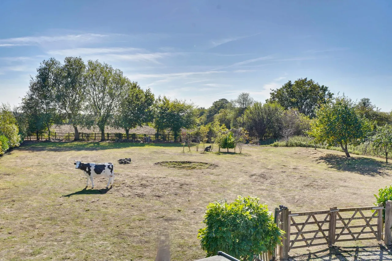 The Street, Sheering, CM22, photo 28