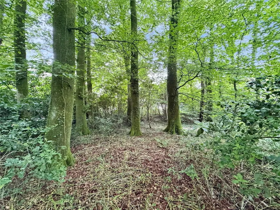 Holsworthy, EX22, photo 42