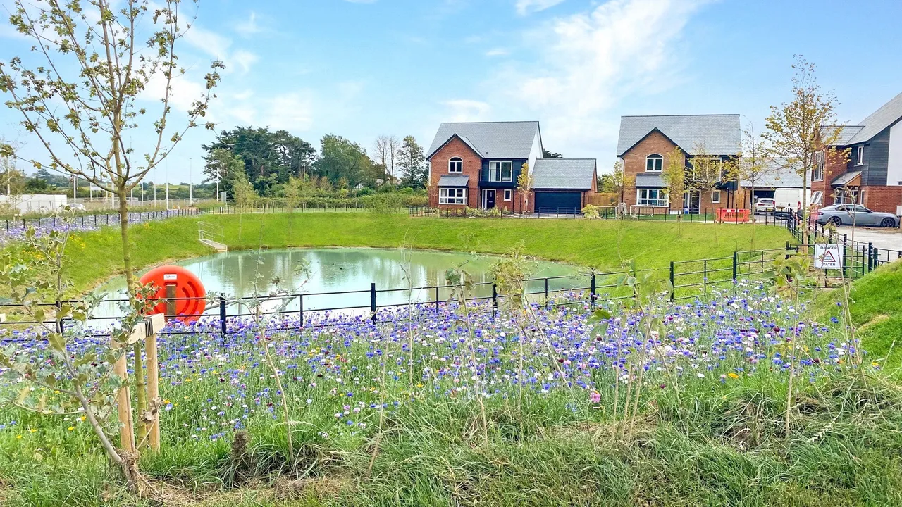 Buckleigh Meadows, Westward Ho!, EX39, photo 13