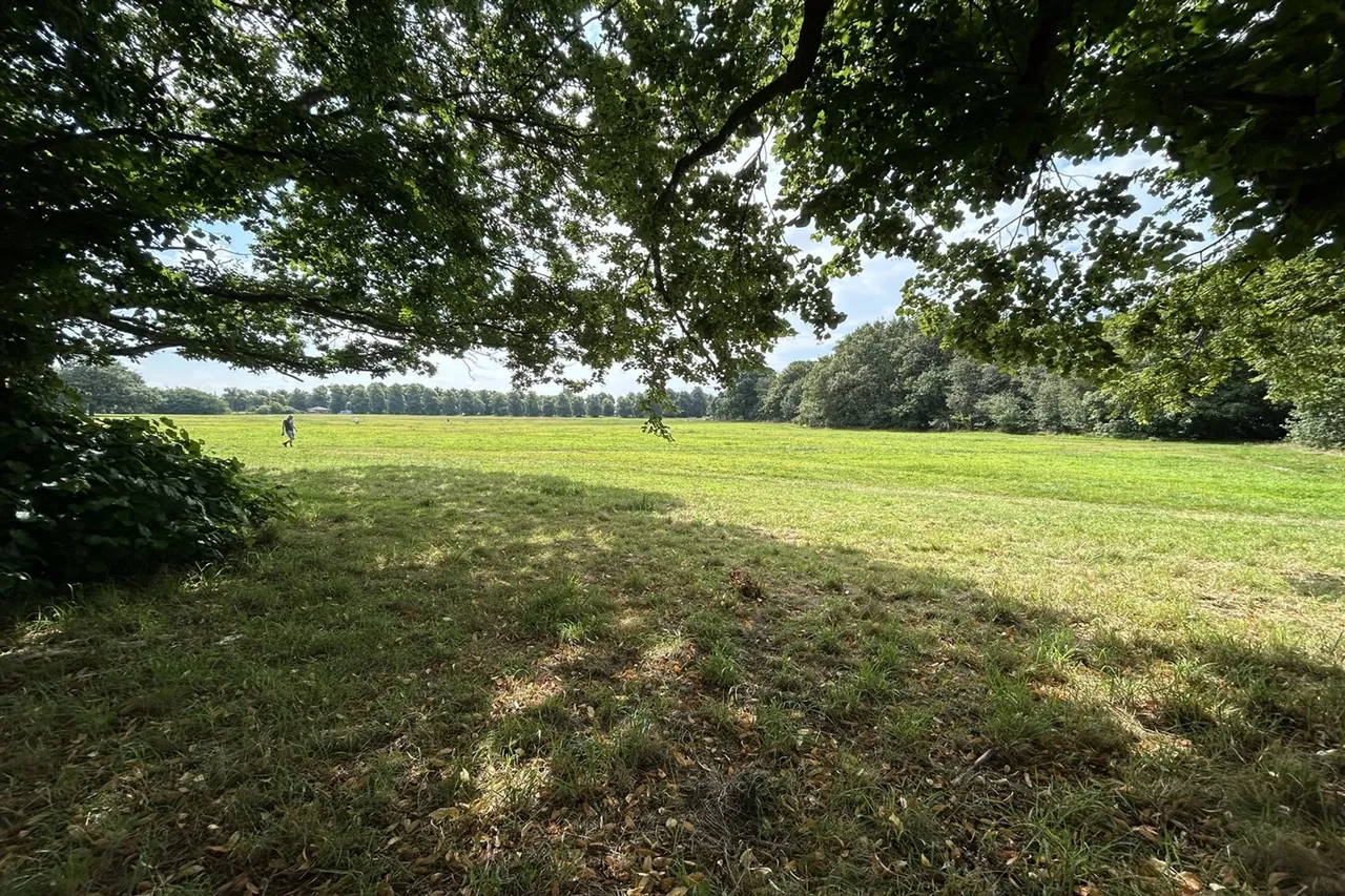 Beechwood Tabley Road, Knutsford, photo 15