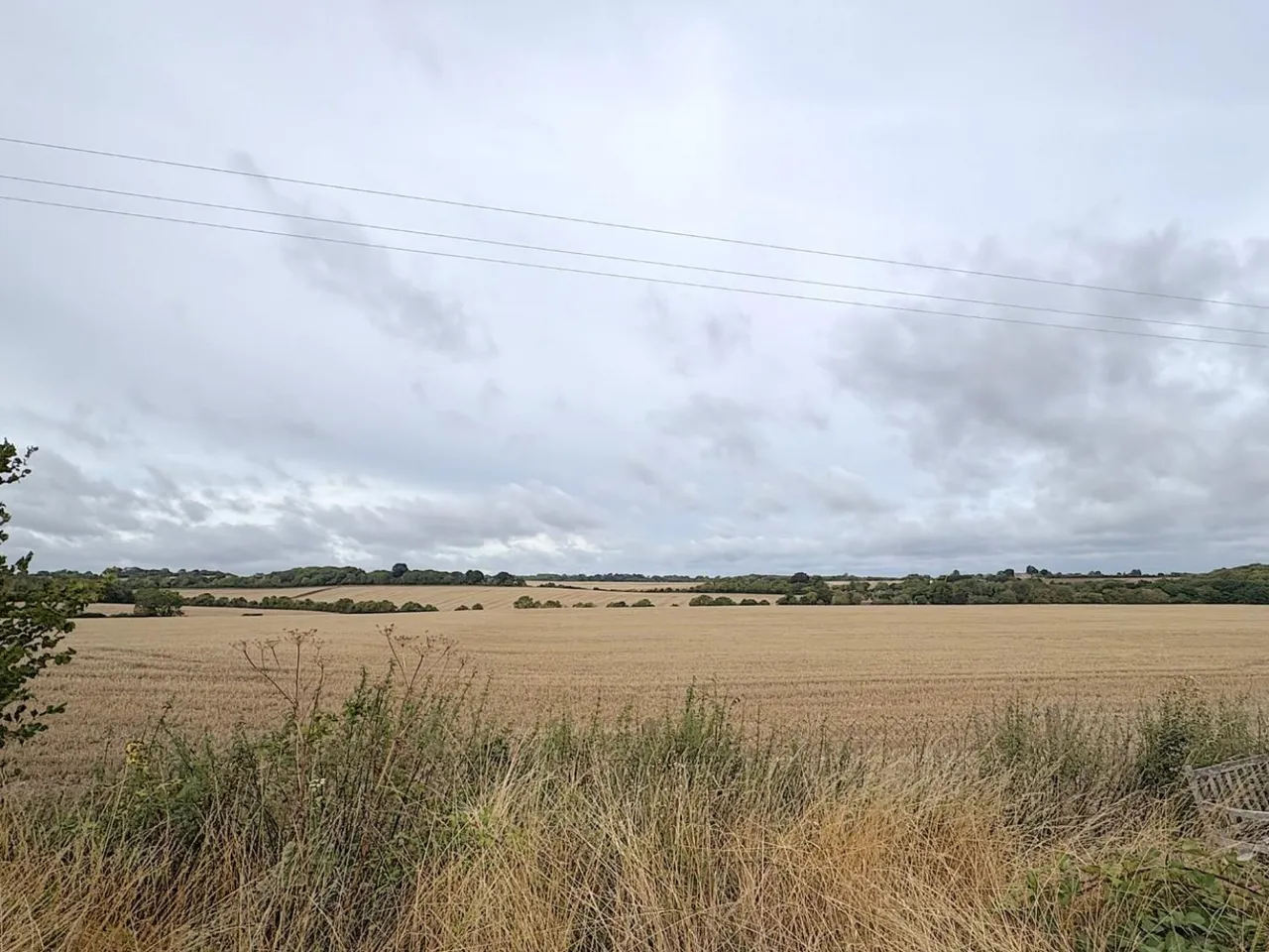 Orchard Drive, Meopham, DA13, photo 19