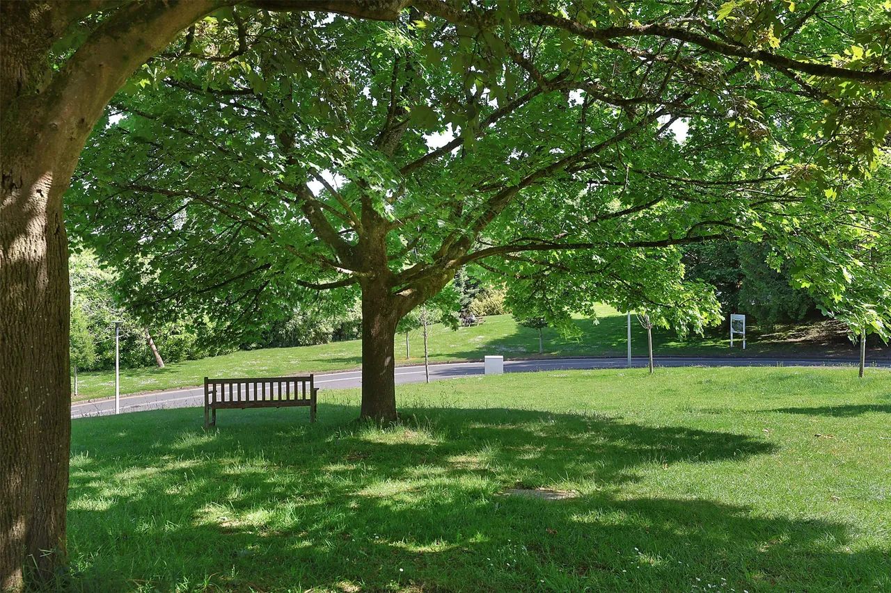 Deepdene Avenue, Dorking, RH5, photo 4