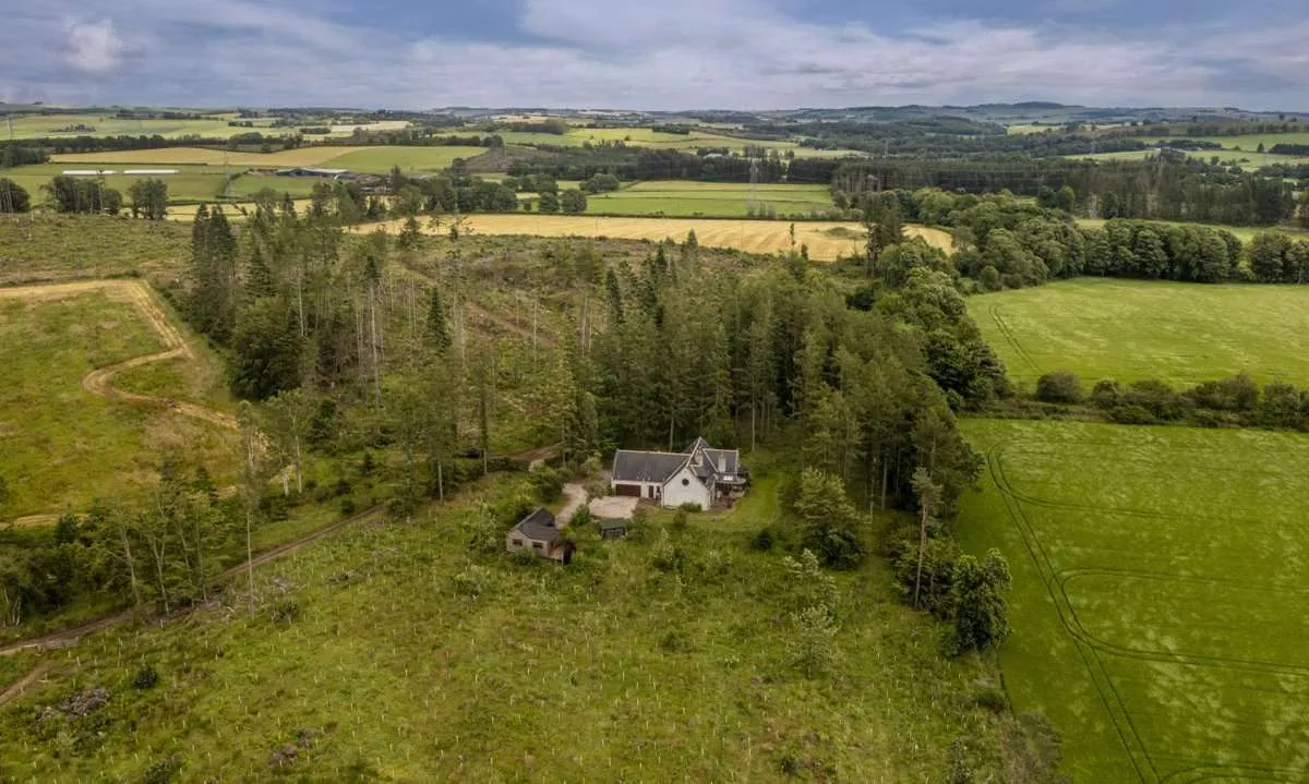 Logie Woodlands, Pitcaple, Inverurie, Aberdeenshire, AB51 5EE, photo 2
