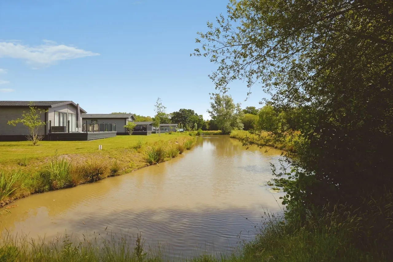 New Road, Landford, SP5, photo 20
