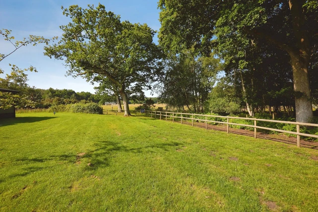 New Road, Landford, SP5, photo 17